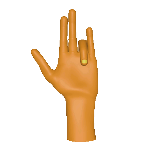 Three dimensional animation of the [bha] handshape.