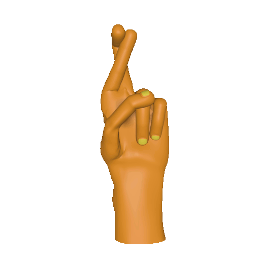 Three dimensional animation of the [hre] handshape.