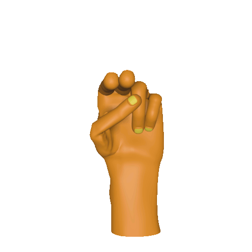 Three dimensional animation of the [hue] handshape.