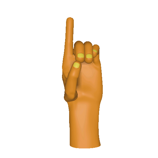 Three dimensional animation of the [lo] handshape.