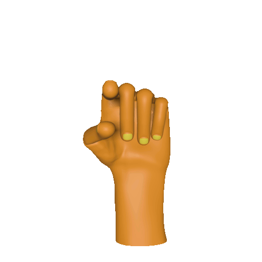 Three dimensional animation of the [lu] handshape.