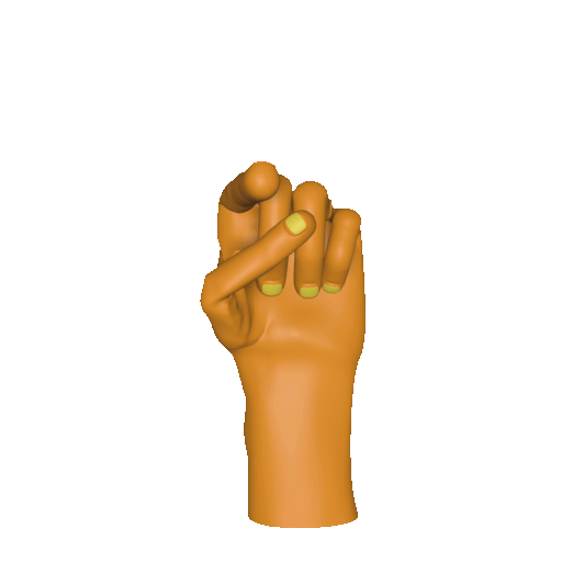 Three dimensional animation of the [lue] handshape.